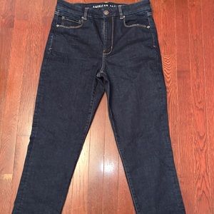 AMERICAN EAGLE CURVY SKINNY JEANS
